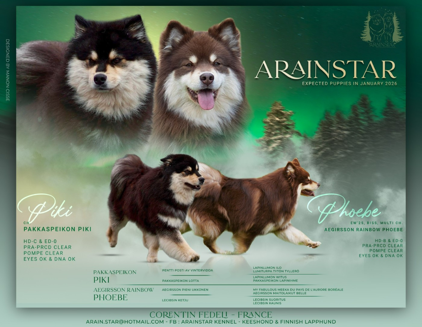 ARAINSTAR - Première portée à l'élevage Arainstar !