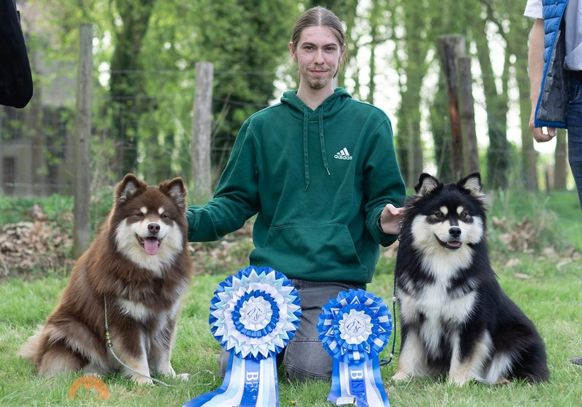 Actualité à l'Elevage